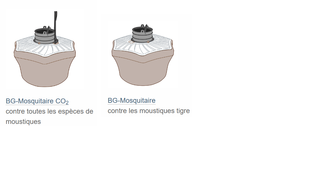 BG MOSQUITAIRE La boite à Moustique