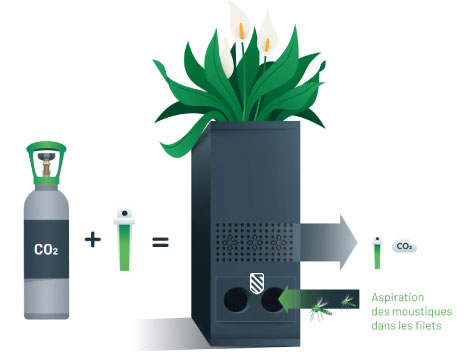La boite à Moustique La boite à Moustique